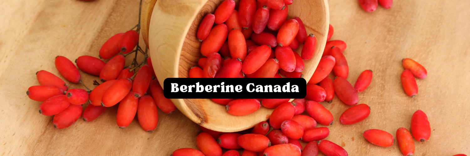 Berberine Canada Featured