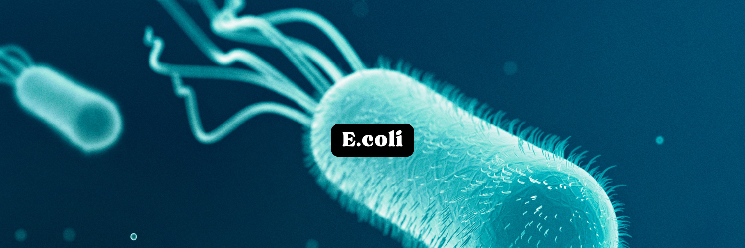 Ecoli Featured