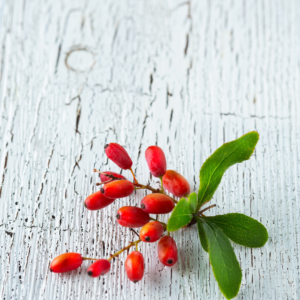 Close up of fresh berberine berries and leaves on a white wooden surface